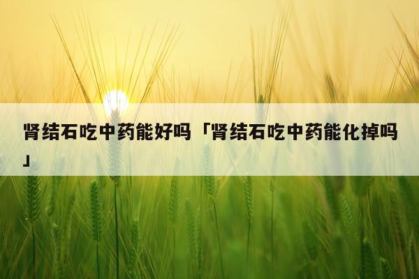 肾结石吃中药能好吗「肾结石吃中药能化掉吗」