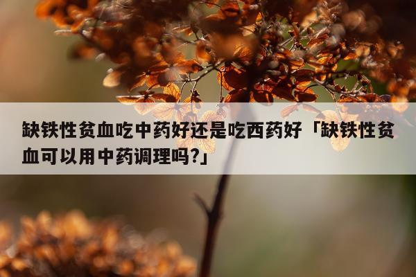 缺铁性贫血吃中药好还是吃西药好「缺铁性贫血可以用中药调理吗?」