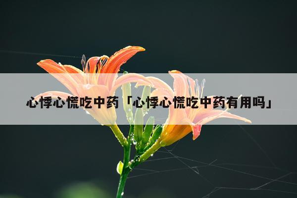 心悸心慌吃中药「心悸心慌吃中药有用吗」
