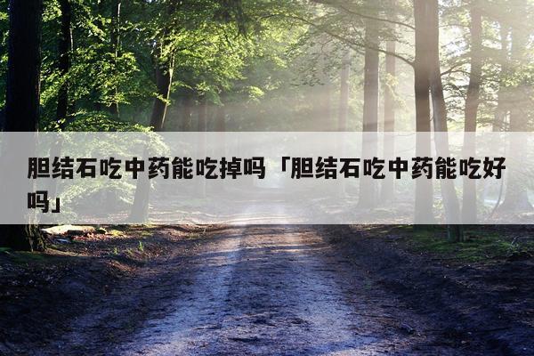 胆结石吃中药能吃掉吗「胆结石吃中药能吃好吗」