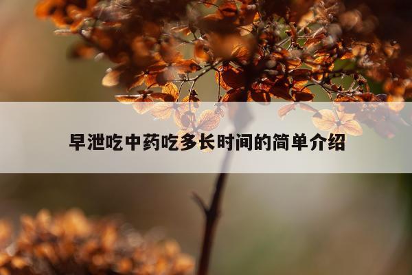 早泄吃中药吃多长时间的简单介绍