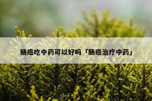 肠癌吃中药可以好吗「肠癌治疗中药」