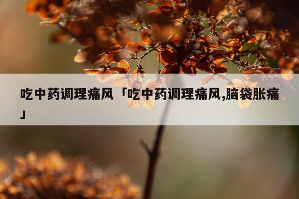 吃中药调理痛风「吃中药调理痛风,脑袋胀痛」