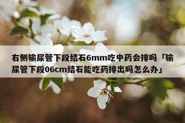 右侧输尿管下段结石6mm吃中药会排吗「输尿管下段06cm结石能吃药排出吗怎么办」