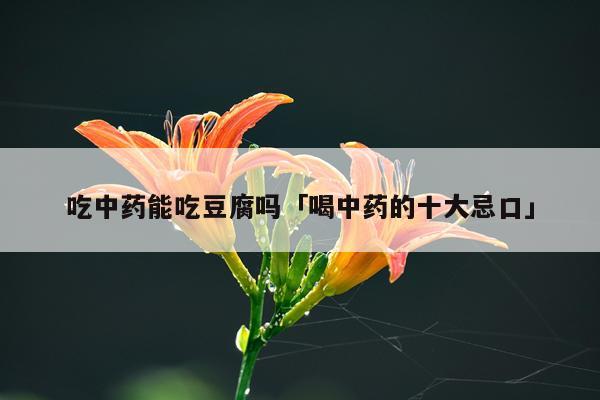 吃中药能吃豆腐吗「喝中药的十大忌口」