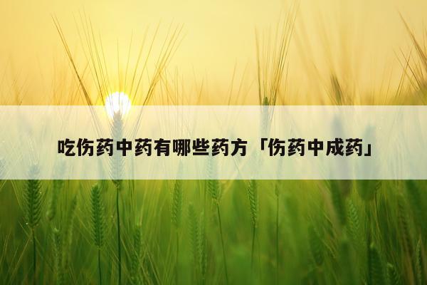 吃伤药中药有哪些药方「伤药中成药」