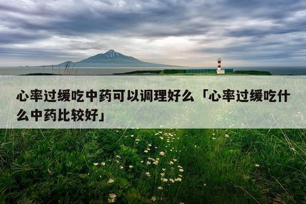 心率过缓吃中药可以调理好么「心率过缓吃什么中药比较好」