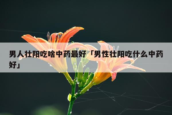男人壮阳吃啥中药最好「男性壮阳吃什么中药好」
