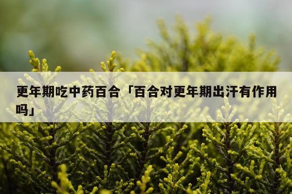 更年期吃中药百合「百合对更年期出汗有作用吗」