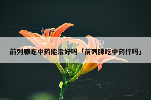 前列腺吃中药能治好吗「前列腺吃中药行吗」