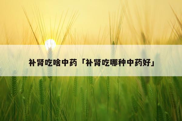 补肾吃啥中药「补肾吃哪种中药好」