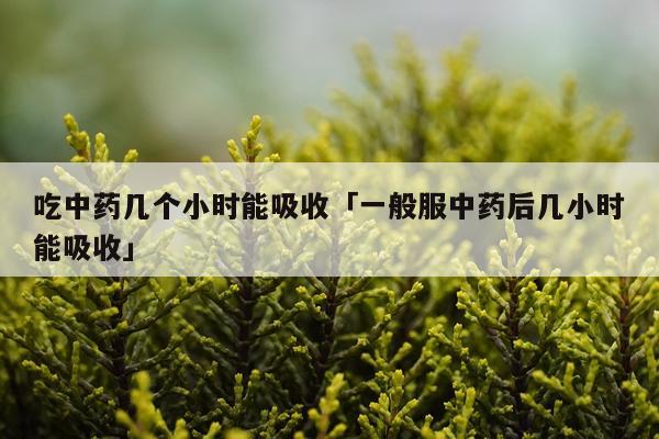 吃中药几个小时能吸收「一般服中药后几小时能吸收」