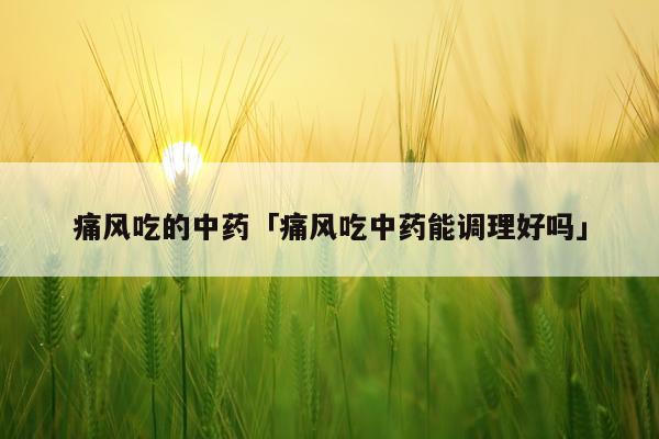 痛风吃的中药「痛风吃中药能调理好吗」