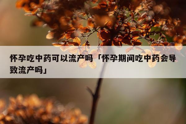 怀孕吃中药可以流产吗「怀孕期间吃中药会导致流产吗」