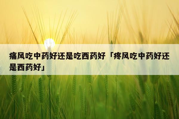 痛风吃中药好还是吃西药好「疼风吃中药好还是西药好」