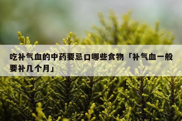 吃补气血的中药要忌口哪些食物「补气血一般要补几个月」