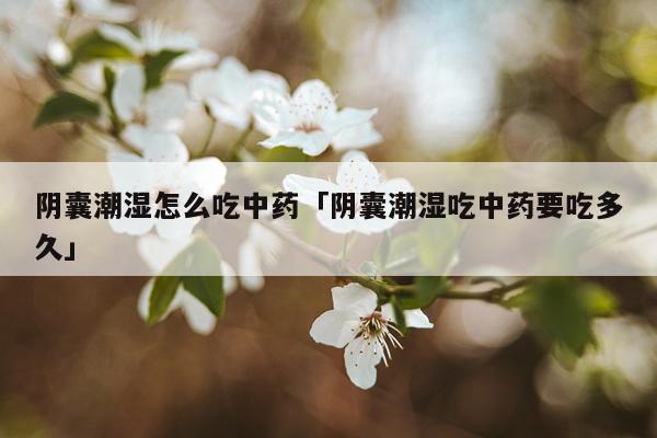 阴囊潮湿怎么吃中药「阴囊潮湿吃中药要吃多久」