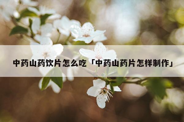 中药山药饮片怎么吃「中药山药片怎样制作」