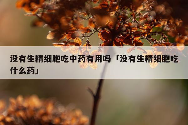 没有生精细胞吃中药有用吗「没有生精细胞吃什么药」