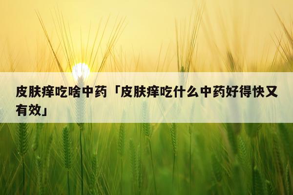 皮肤痒吃啥中药「皮肤痒吃什么中药好得快又有效」