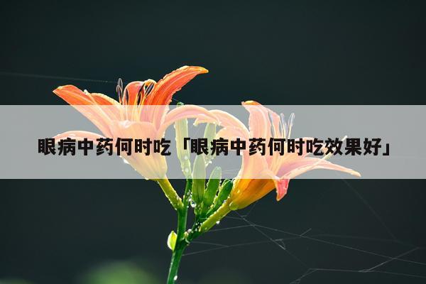 眼病中药何时吃「眼病中药何时吃效果好」
