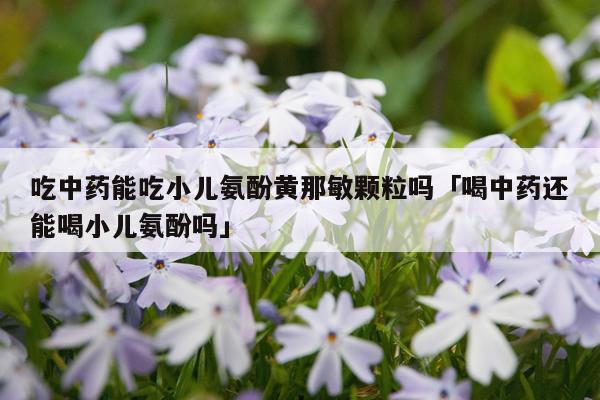 吃中药能吃小儿氨酚黄那敏颗粒吗「喝中药还能喝小儿氨酚吗」