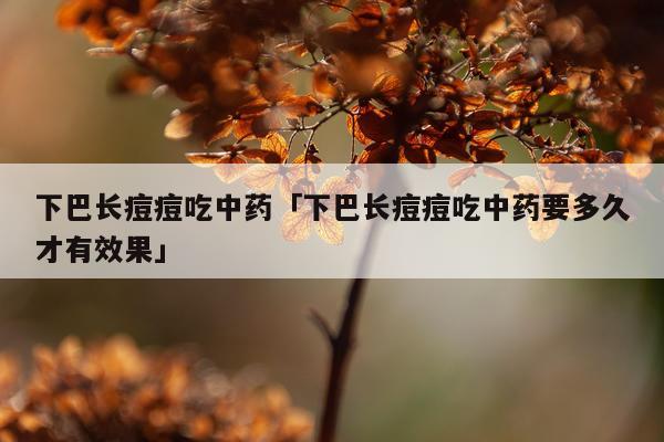 下巴长痘痘吃中药「下巴长痘痘吃中药要多久才有效果」