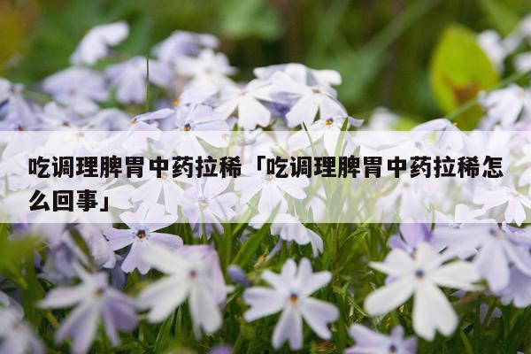 吃调理脾胃中药拉稀「吃调理脾胃中药拉稀怎么回事」