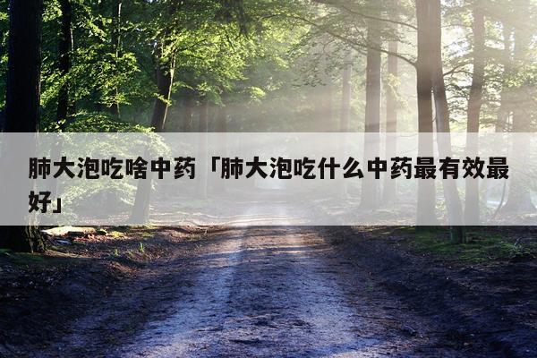 肺大泡吃啥中药「肺大泡吃什么中药最有效最好」