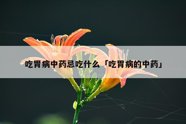 吃胃病中药忌吃什么「吃胃病的中药」