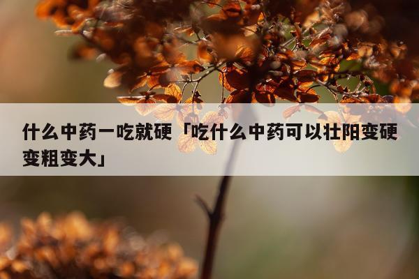 什么中药一吃就硬「吃什么中药可以壮阳变硬变粗变大」