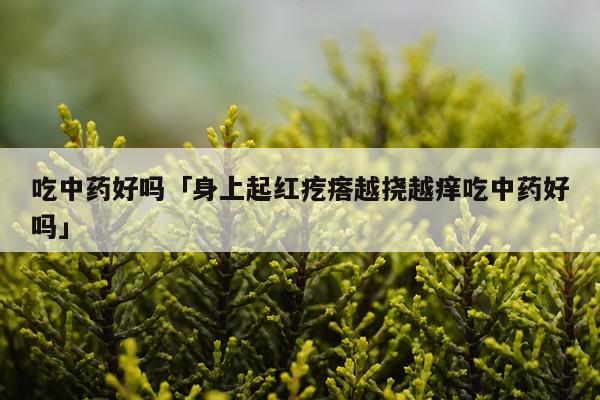 吃中药好吗「身上起红疙瘩越挠越痒吃中药好吗」