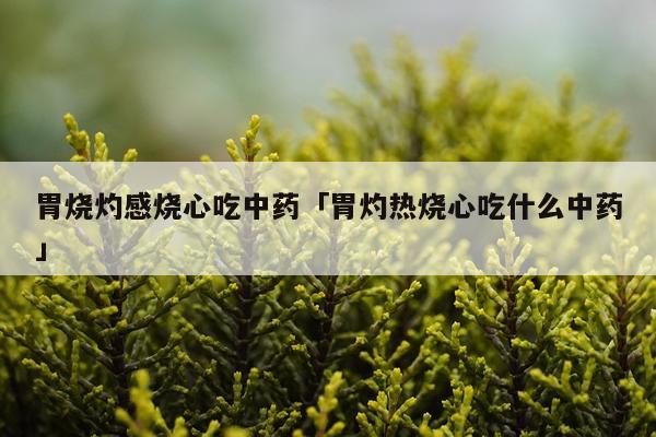 胃烧灼感烧心吃中药「胃灼热烧心吃什么中药」