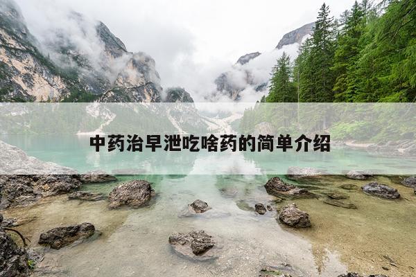 中药治早泄吃啥药的简单介绍