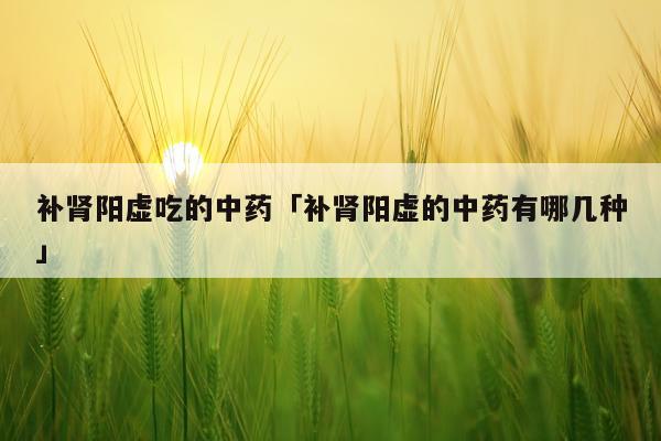 补肾阳虚吃的中药「补肾阳虚的中药有哪几种」