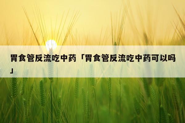胃食管反流吃中药「胃食管反流吃中药可以吗」