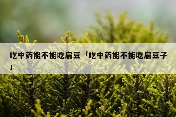 吃中药能不能吃扁豆「吃中药能不能吃扁豆子」