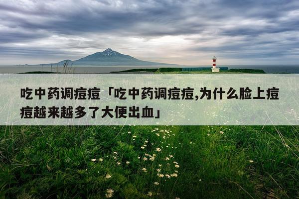 吃中药调痘痘「吃中药调痘痘,为什么脸上痘痘越来越多了大便出血」