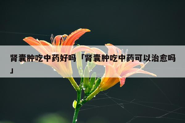 肾囊肿吃中药好吗「肾囊肿吃中药可以治愈吗」