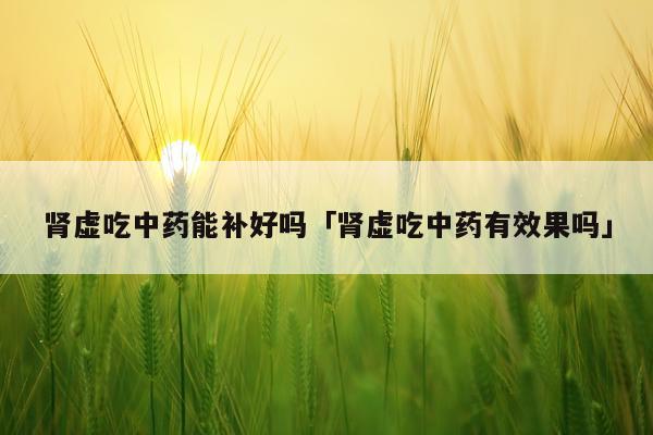 肾虚吃中药能补好吗「肾虚吃中药有效果吗」