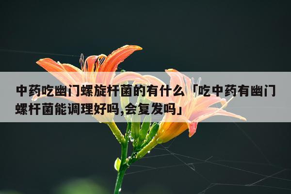 中药吃幽门螺旋杆菌的有什么「吃中药有幽门螺杆菌能调理好吗,会复发吗」