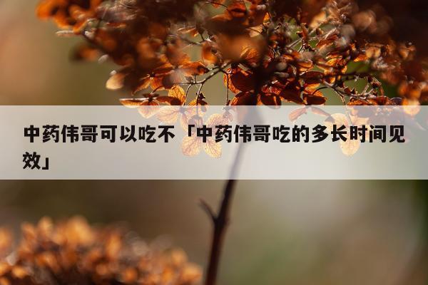 中药伟哥可以吃不「中药伟哥吃的多长时间见效」