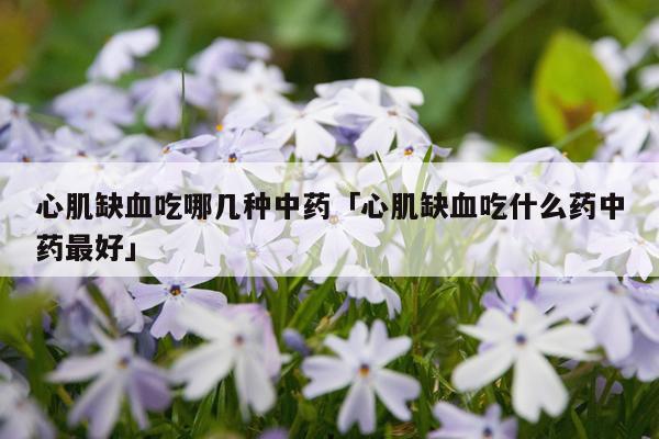 心肌缺血吃哪几种中药「心肌缺血吃什么药中药最好」