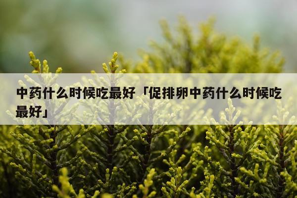 中药什么时候吃最好「促排卵中药什么时候吃最好」