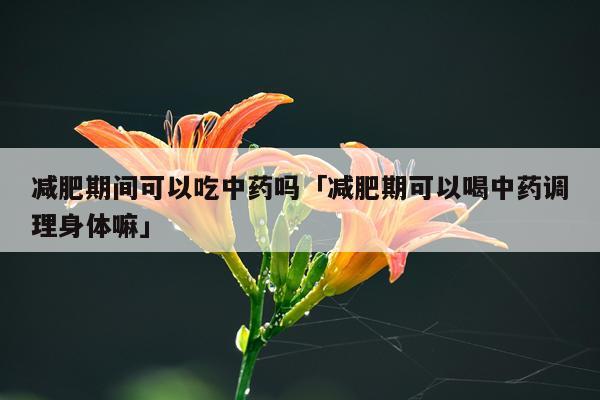 减肥期间可以吃中药吗「减肥期可以喝中药调理身体嘛」