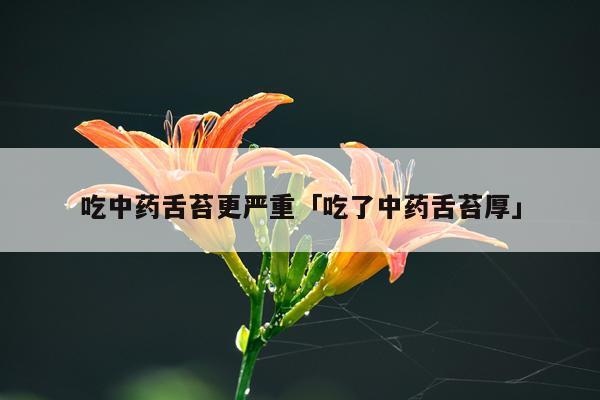 吃中药舌苔更严重「吃了中药舌苔厚」
