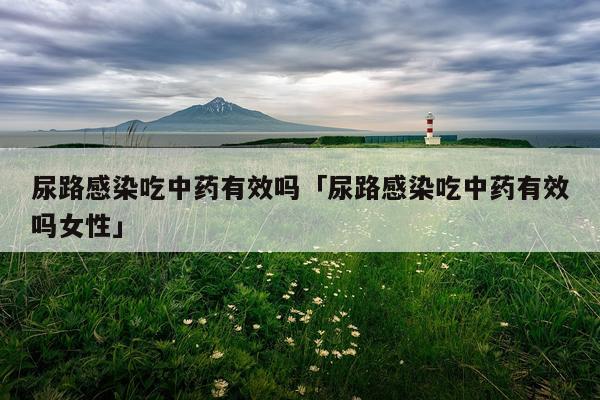 尿路感染吃中药有效吗「尿路感染吃中药有效吗女性」