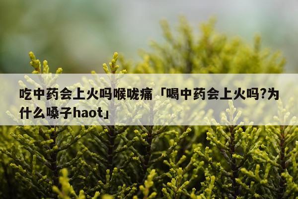 吃中药会上火吗喉咙痛「喝中药会上火吗?为什么嗓子haot」