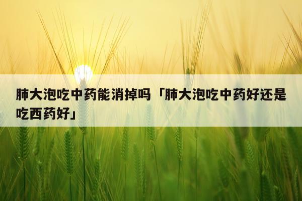肺大泡吃中药能消掉吗「肺大泡吃中药好还是吃西药好」