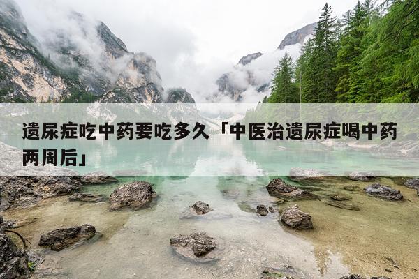 遗尿症吃中药要吃多久「中医治遗尿症喝中药两周后」